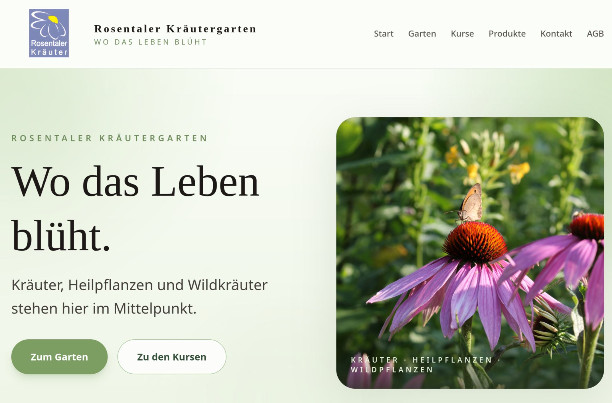 Web Development